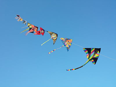 selective focus photograph of kite thumbnail