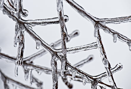 selective focus photography of icicle thumbnail