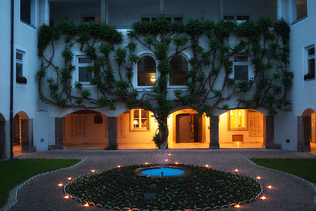 green vine plants growing on white concrete house with lights on thumbnail