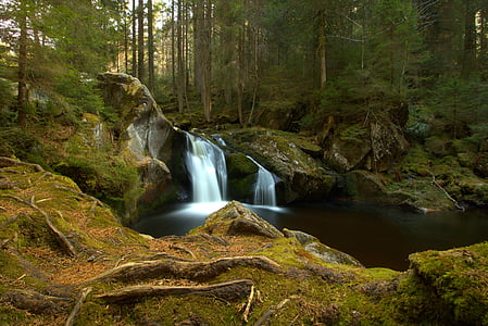 falls surrounded by trees thumbnail