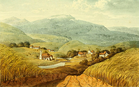 Williamsfield Estate, St. Thomas' in the Vale in Jamaica thumbnail