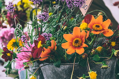 assorted flowers thumbnail