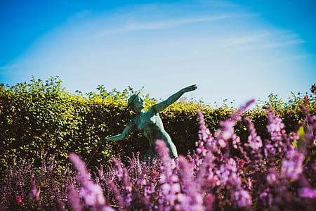 Javelin Statue in a Flower Fields thumbnail