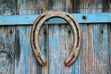 gray steel horse shoe mounted on wall thumbnail