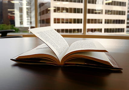 book, reading, pages, literature thumbnail
