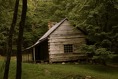 brown wooden house surrounded by green trees thumbnail
