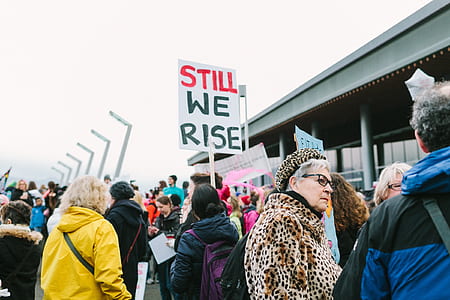 still we rise signage thumbnail
