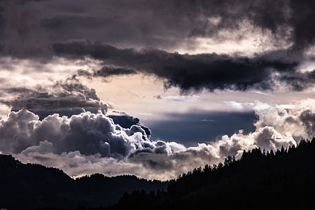 silhouette photo of tall trees on hill under cloudy sky thumbnail