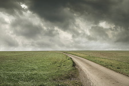 pathway in between green grasses during daytime thumbnail
