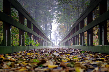 black wooden bridge handle thumbnail