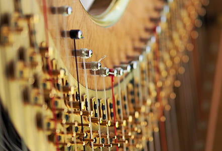 closeup photo of instrument strings thumbnail