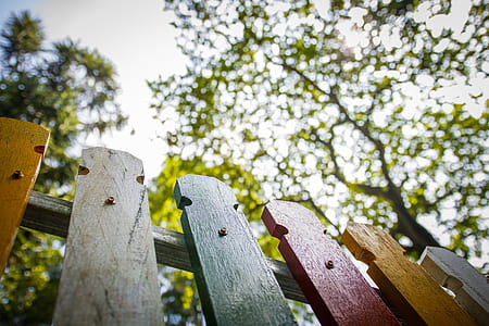 multicolored wooden fence in worm's-eye view photography thumbnail