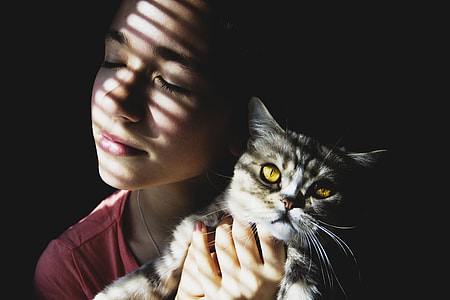woman holding brown Tabby cat thumbnail