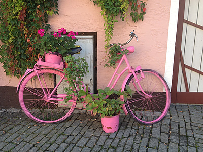 pink bicycle planter stand beside the wall thumbnail