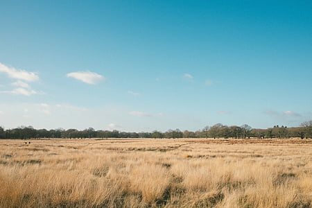clear sky thumbnail