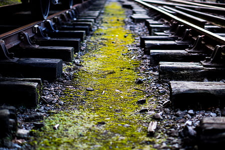 shallow focus photography of green and brown train track thumbnail