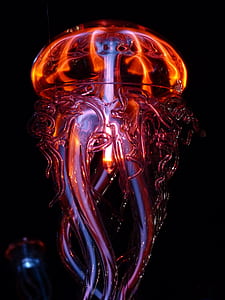 Red Jelly Fish thumbnail