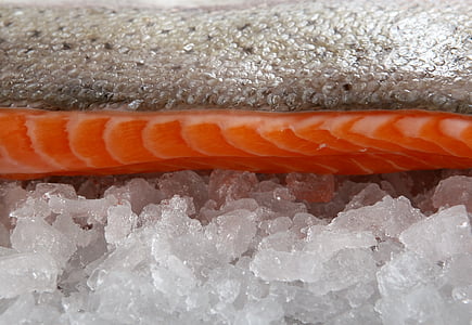 closeup photo of fish fillet thumbnail