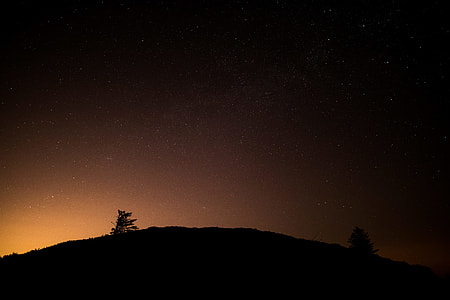 trees on hill during sunrise thumbnail