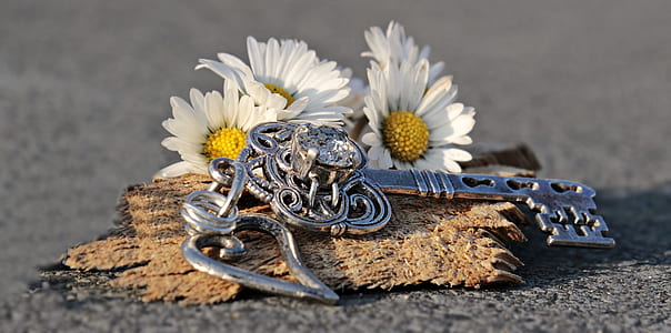 silver-colored skeleton key accessory and white flowers thumbnail