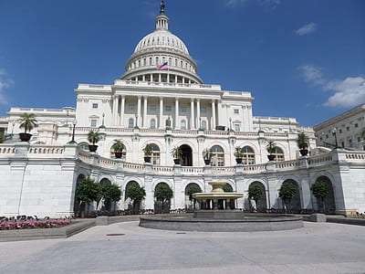 photography of Capitol building under blue sky at daytime thumbnail