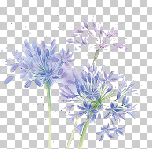 Floral design Cut flowers Chrysanthemum Blue, Watercolor flowers, purple lily of the Incas flowers PNG clipart