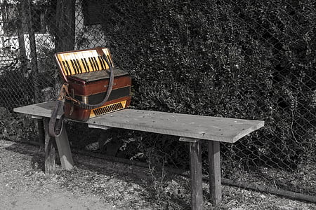 brown and black accordion on bench thumbnail