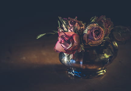 close-up photography of pink rose flowers centerpiece thumbnail