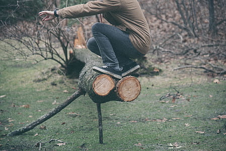 person on top of cut log during daytime thumbnail