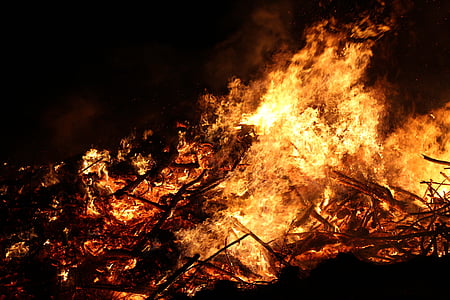 forest fire thumbnail