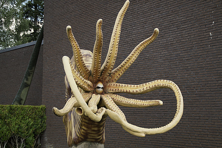 brown hermit octopus statue decor thumbnail