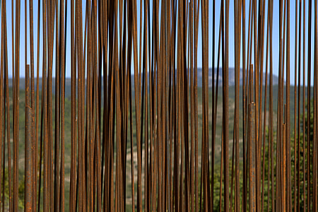 brown rebars near green leafed plants thumbnail