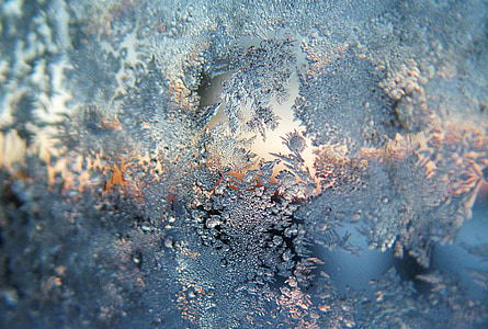 frost developing thumbnail