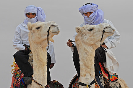 two person sitting on camels thumbnail