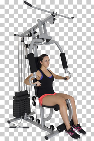 Leg Extension Leg Curl Fitness Centre Exercise Bench Fitness