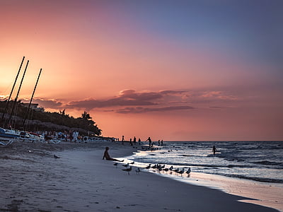 group of people on beach during sunset thumbnail
