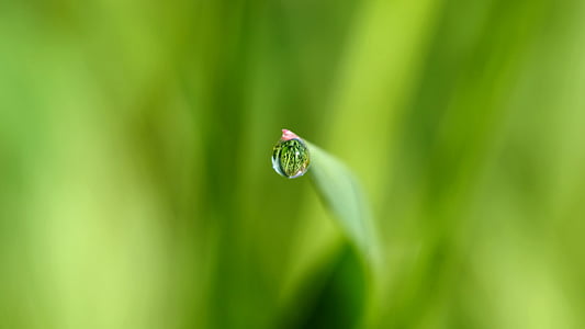 shallow photography of water drop thumbnail