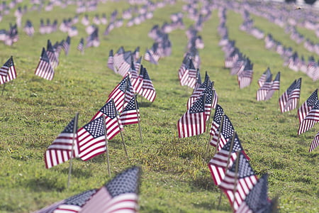 USA flaglets on grass field during daytime thumbnail