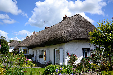photography of white cottage houses near green leaf plants during day time thumbnail