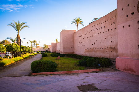 empty pathway beside road and building during day thumbnail