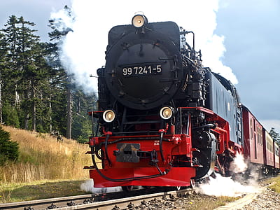 red and black public train thumbnail