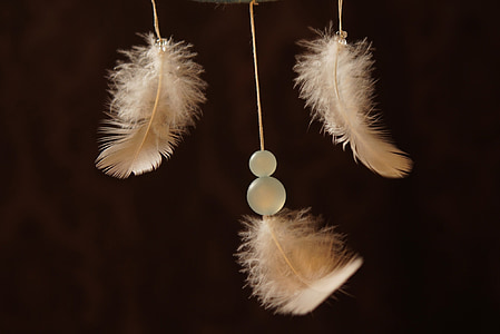 three white and brown feathers thumbnail
