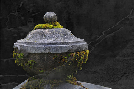 closeup photography of moss concrete finial thumbnail
