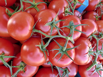 pile of ripe tomatoes thumbnail