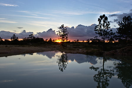 body of water surrounded by trees thumbnail