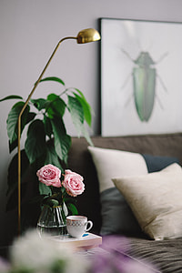 Lovely roseses, book and coffee thumbnail