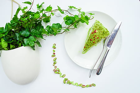slice of cake on white ceramic plate thumbnail