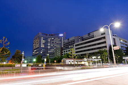 gray concrete building surrounded by trees thumbnail