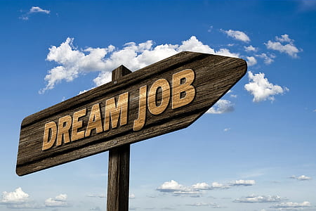 wooden Dream Job street sign illustration thumbnail