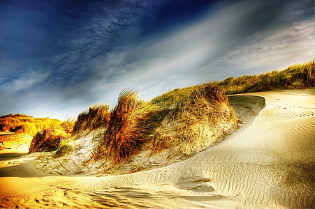 rock formation on brown sand during daytime thumbnail